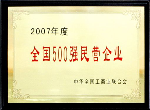 The 2007 National Top 500 Private Enterprises